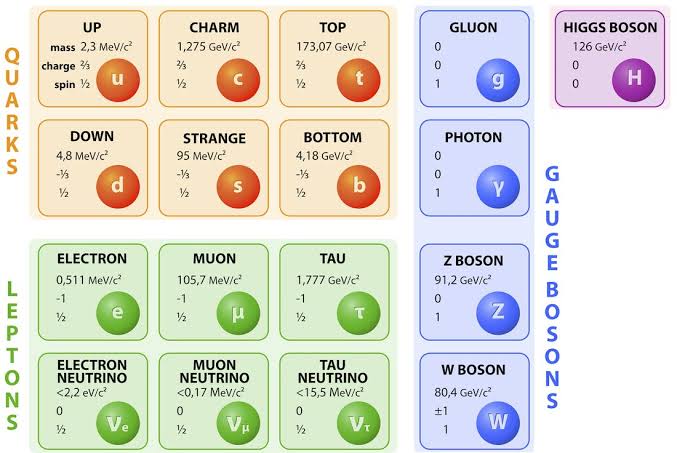 The standard model of particle physics