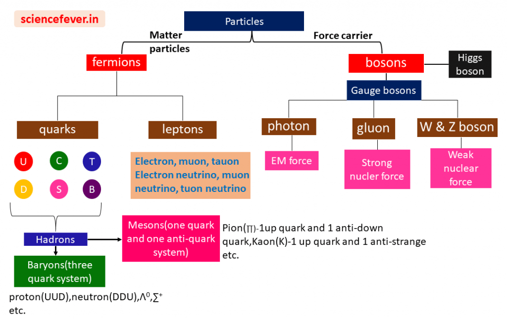 The standard model of particle physics treediagram